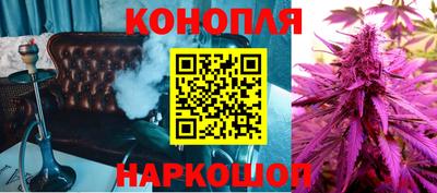 сатива Ирбит