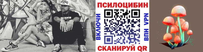 Галлюциногенные грибы Psilocybine cubensis  Скопин 